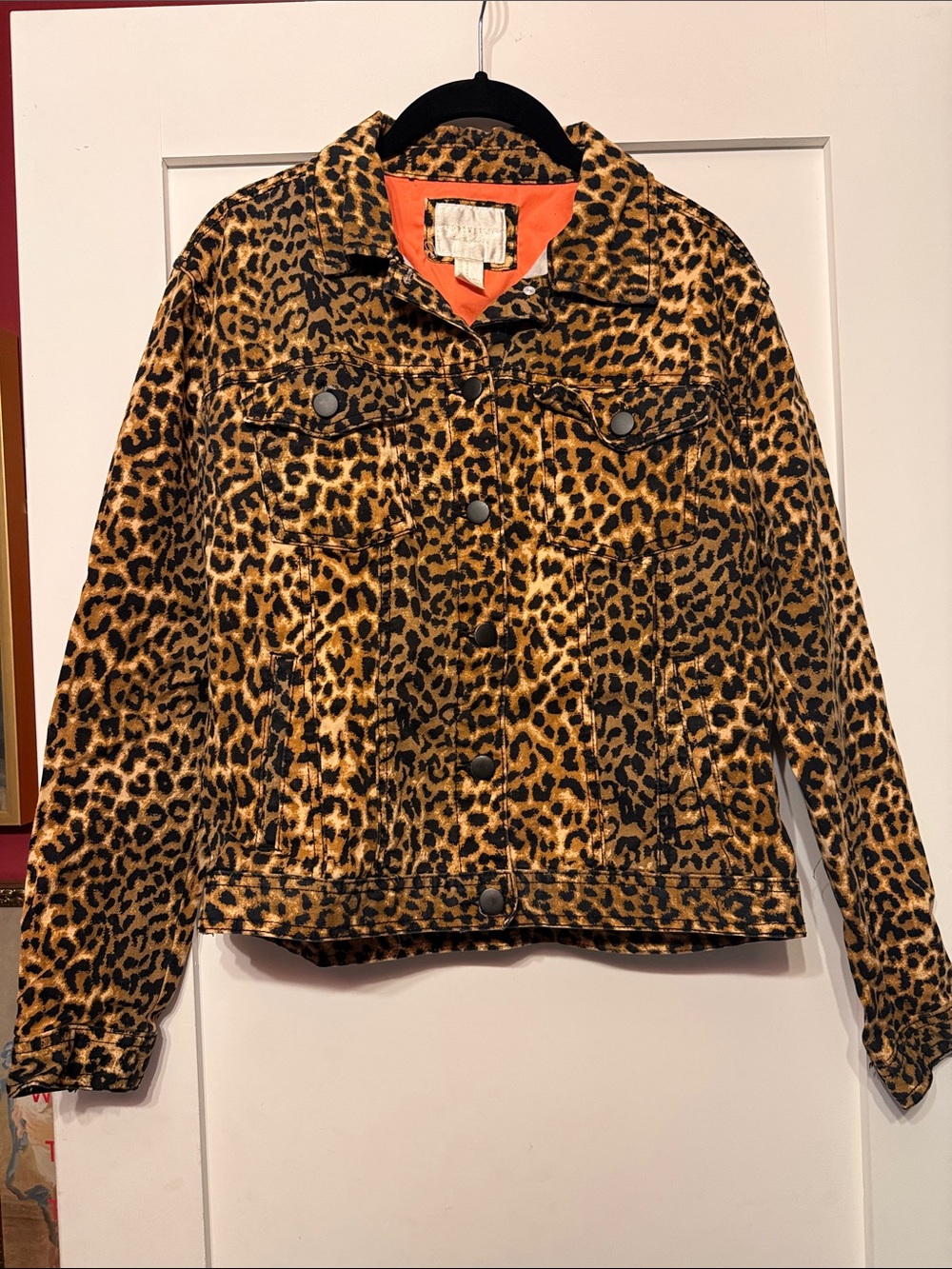 Forever 21 Leopard Print Jean Jacket in Brown and Black